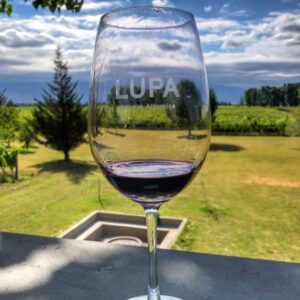 LUPA WINES