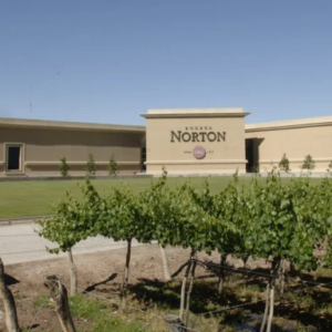 NORTON