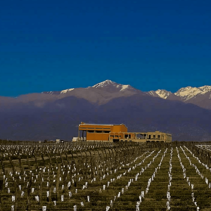 ZORZAL-WINERY
