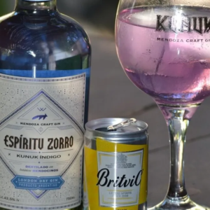espiritu zorro