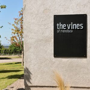 bodega-the-vines-1